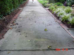 Driveway - before resurfacing